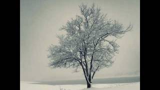 Irrlicht aus Schuberts Winterreise chords