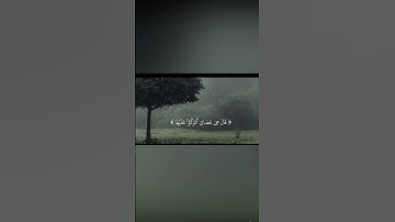 #القارئ غيث سمرين #سورة_طه #قرآن #تلاوة_خاشعة #قران_كريم