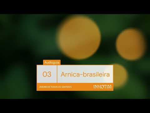 Audioguia Jardim de Todos os Sentidos | Arnica