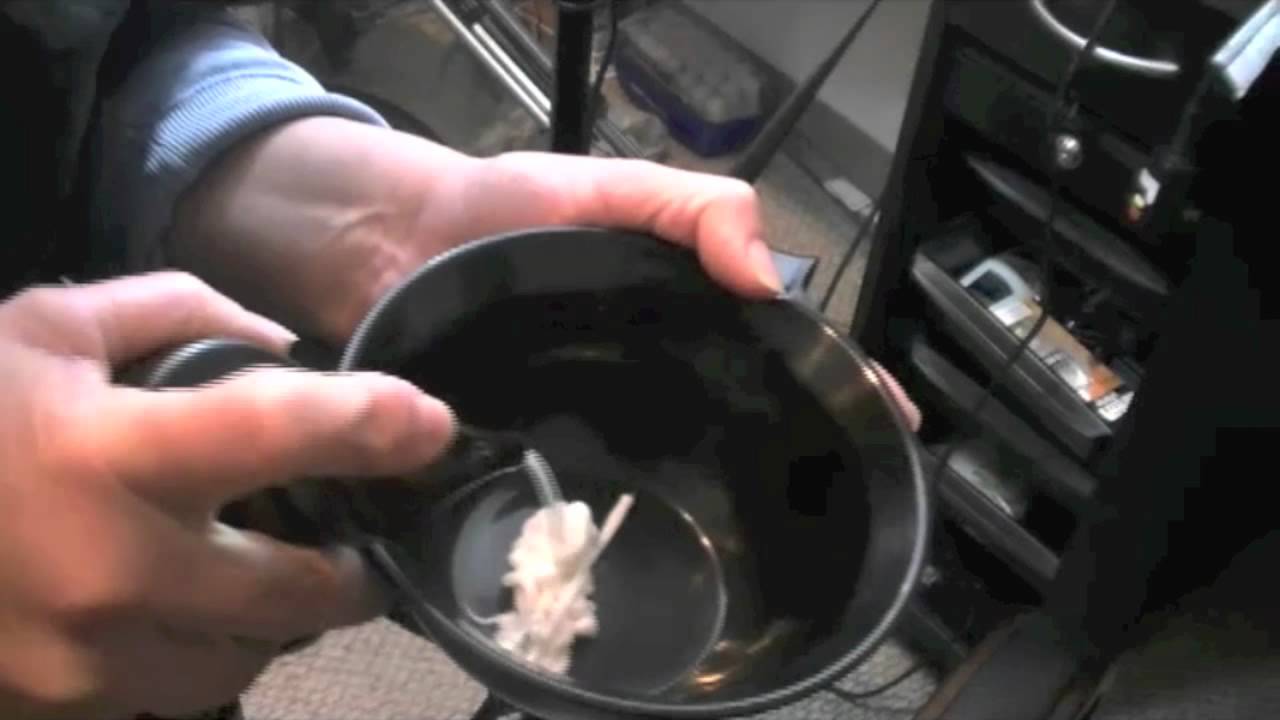 Tratamiento Capilar Awapuhi wild ginger de Paul Mitchell, por Ruth Prog