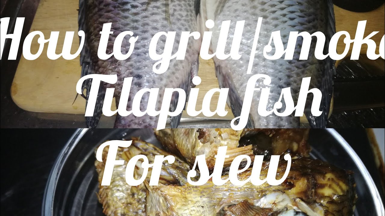 How to grill/smoke tilapia fish for stew YouTube