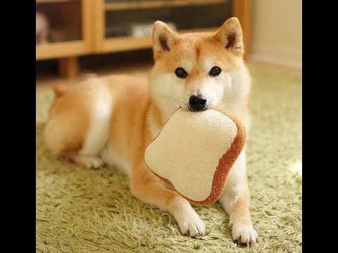 Ranking your submissions #1