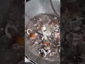 Adobong Pusit // Cook with me