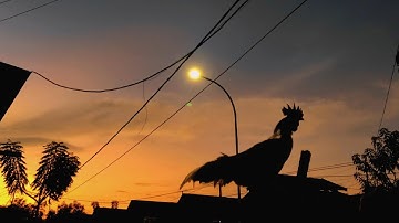 CINEMATIC ALAM TAKBIRAN 2000 - AN 🥺 INGAT KAMPUNG | TAKBIR IDUL FITRI 2022