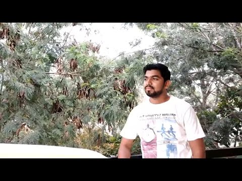 Haal e Dil | Murder 2 | Emraan Hashmi, Jacqueline Fernandez | cover by Aishwary Rajput