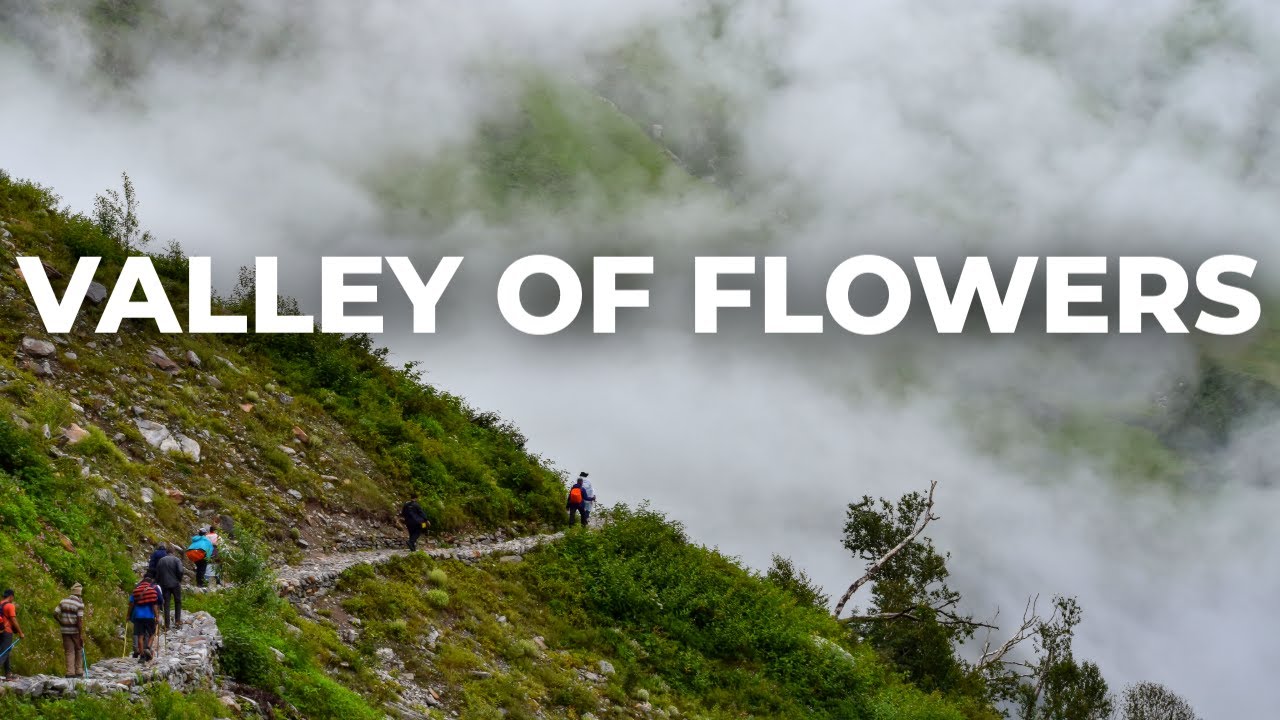 India’s Most Beautiful Trek? 🌸 Valley of Flowers, Uttarakhand (Full Travel Guide) 2025
