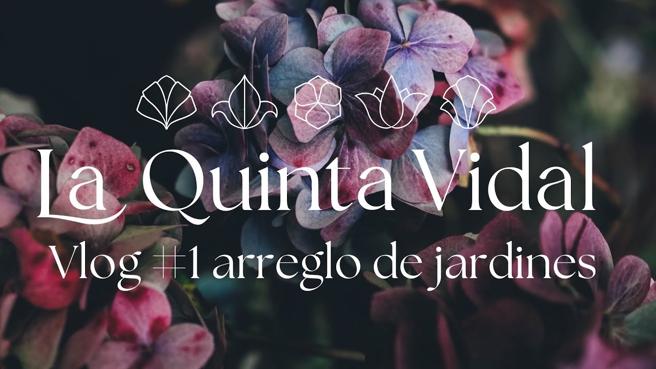 Vlog #1 LQV los jardines de La Quinta Vidal hotel & events ya empiezan a vislumbrarse