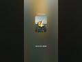 황금상자가 열리고 [감성 Inspirational Music]