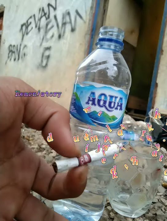 story WA 30 detik caption sopi Kupang