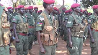 Colonel Time Resources Needed To Neutralize Kony