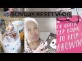 Realistic Sunday Reset| with Boo Mask, Home Goods Haul, Church and Mom Life