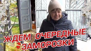 ЖДЁМ ОЧЕРЕДНЫХ ЗАМОРОЗКОВ