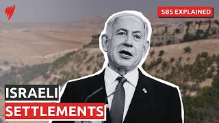 Israeli settlements in the occupied West Bank | SBS Explained