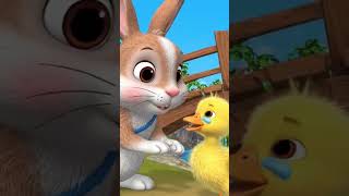 Rabbit and Duck #kids #kidsvideo #cartoon #kidslearning #Nishant_Kids_Videos