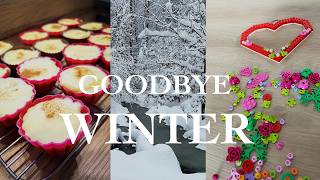 Goodbye, February ❄️ Trying Recipes from a Japanese Cookbook & Lego building ❤️