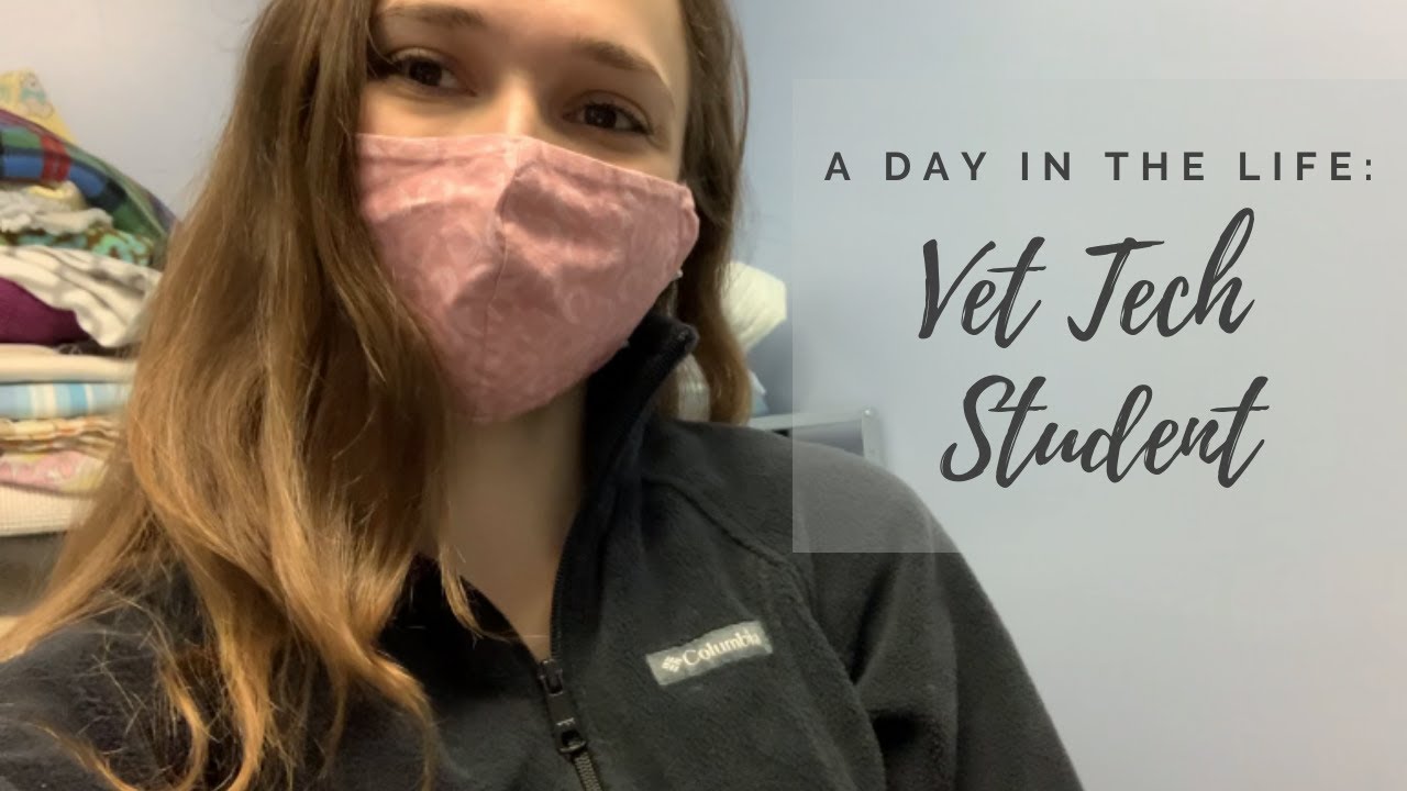 Day in The Life of a College Student Online // Vet Tech YouTube