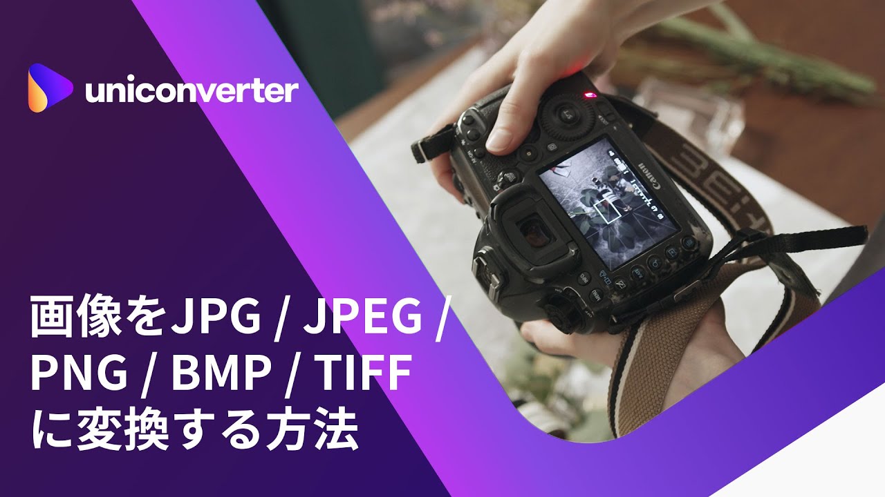 画像をJPG/JPEG/PNG/BMP/TIFFに変換する方法 | Wondershare UniConverter