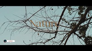Cinematic Nature Video | Shot On Realme | Relaxing Nature Video