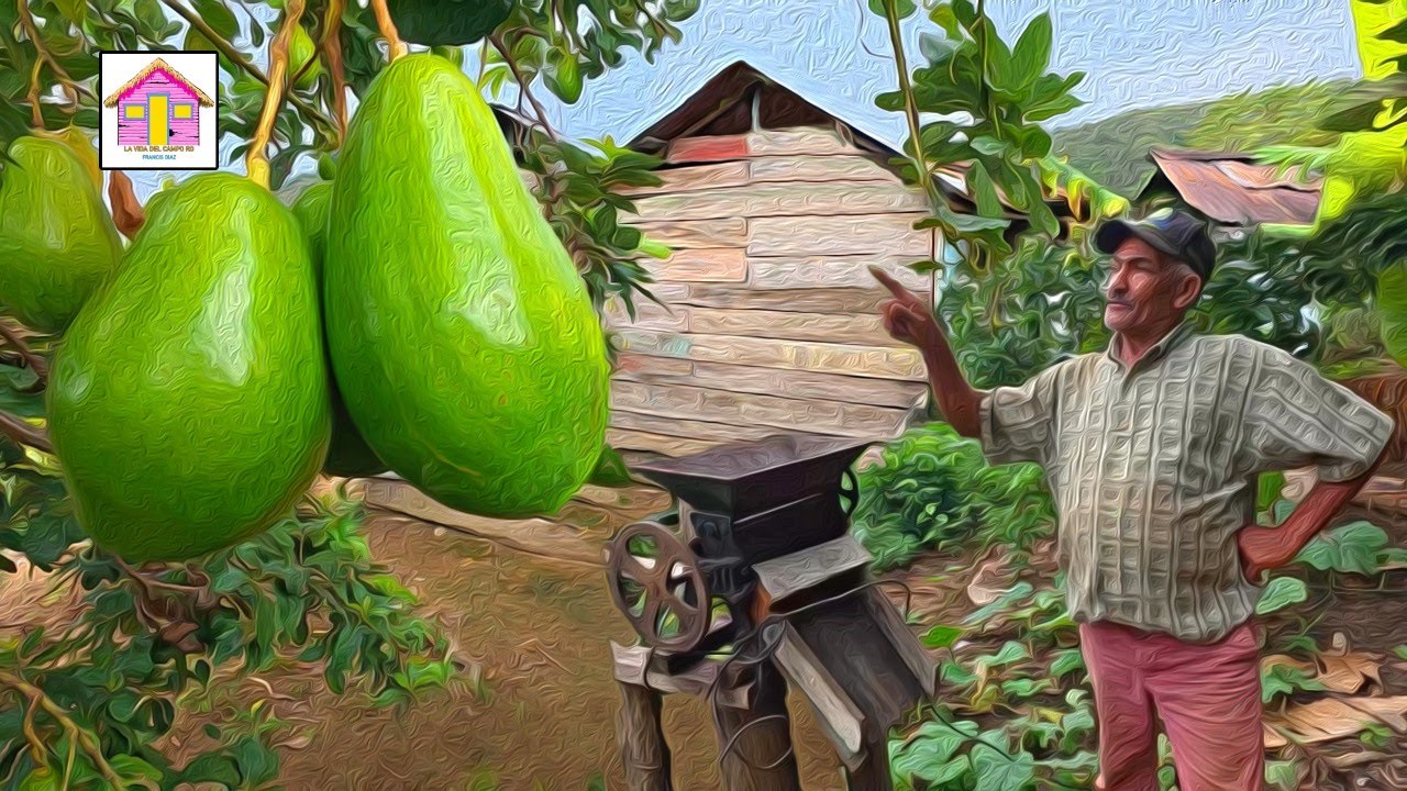 Tres campos en uno Las Abejas ME PERDONARON LA VIDA