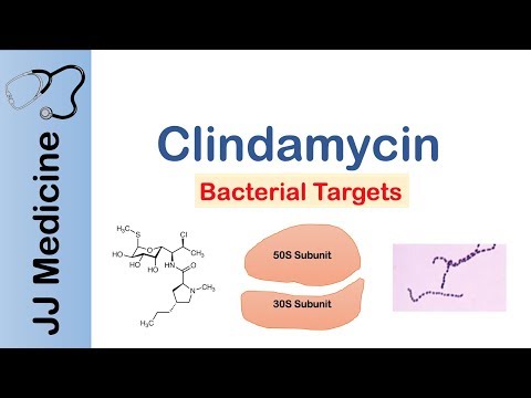 clindamycin-|-bacterial-targets,-mechanism-of-action,-adverse-effects