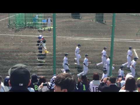 ヤクルト 沖縄キャンプ2017