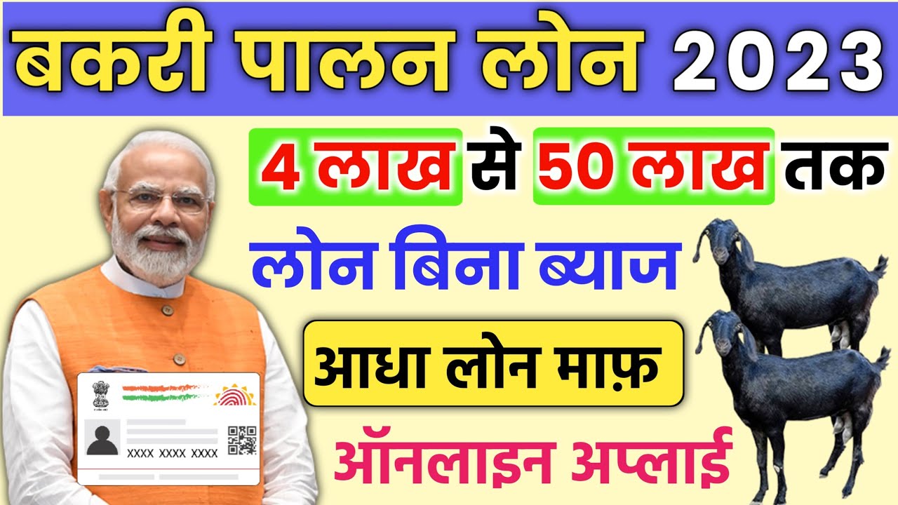 Bakri Palan Business Loan 2023 Goat Forming Loan Rs 4 Lakh To 50 Lakh bakri-palan-business-loan-2024-goat-farming-loan-rs-4-lakh-to-50-lakh