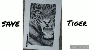 Realistic tiger sketch full time lapse video #tiger #sketch