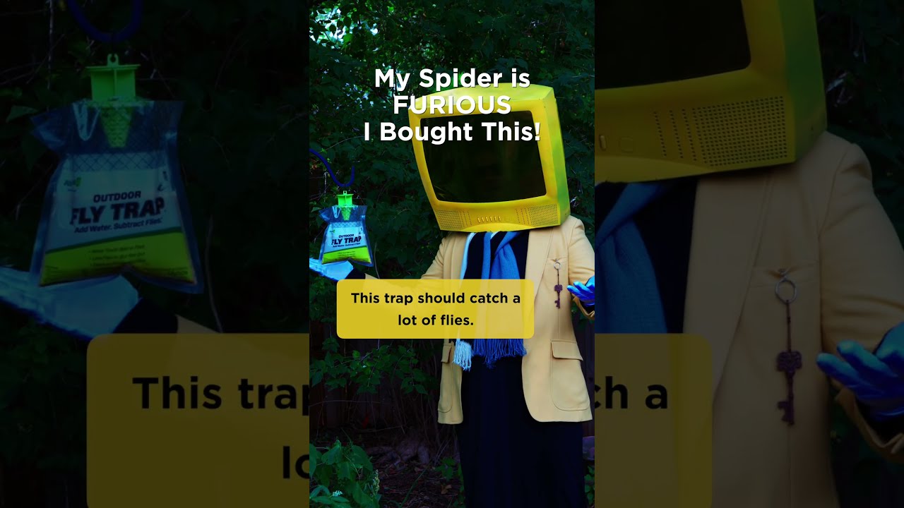 My Spider is FURIOUS I Bought This! #funny #shorts #flytrap