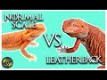 What is the Difference between a Leatherback and a normal scale Bearded Dragon.