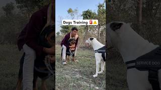 Rottweiler or Dogo Argentino ke training ⚠#rottweiler #dogoargentino #doglover #shortvideo #pets