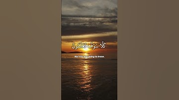 Surah At-Takathur by Mishary Rashid Alafasy | سورة التكاثر #المصحف