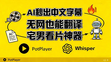 【宅男福利来了】PotPlayer + Whisper + Ollama最详细教程｜AI 自动生成视频字幕 + 实时中文字幕，支持本地离线翻译！