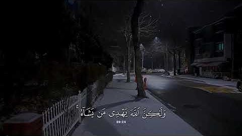 جزء 11 | تلاوة هادئة آيات من سورة القصص بصوت جداً جميل  - محمد بو حسون ✨ .