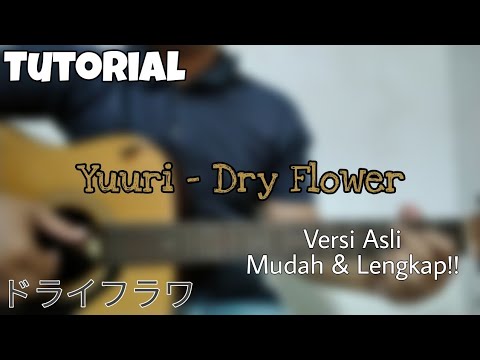 kimi-no-na-wa-chords.html