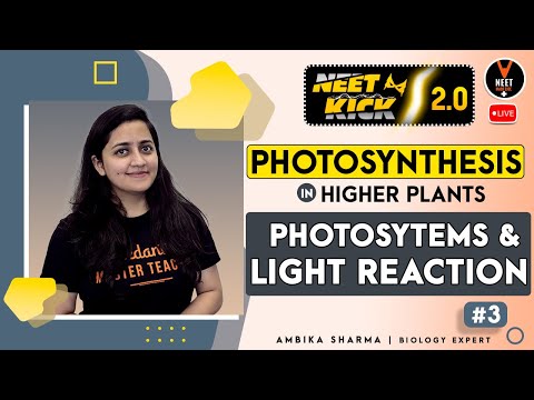 Photosynthesis in Higher Plants Class 11 #3 | NEET 2022 Preparation | NEET Biology | Ambika Ma&rsquo;am