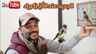 الجديد عند الأخ زكرياء ليوم الخميس22012026 طيور خدمة وكلام