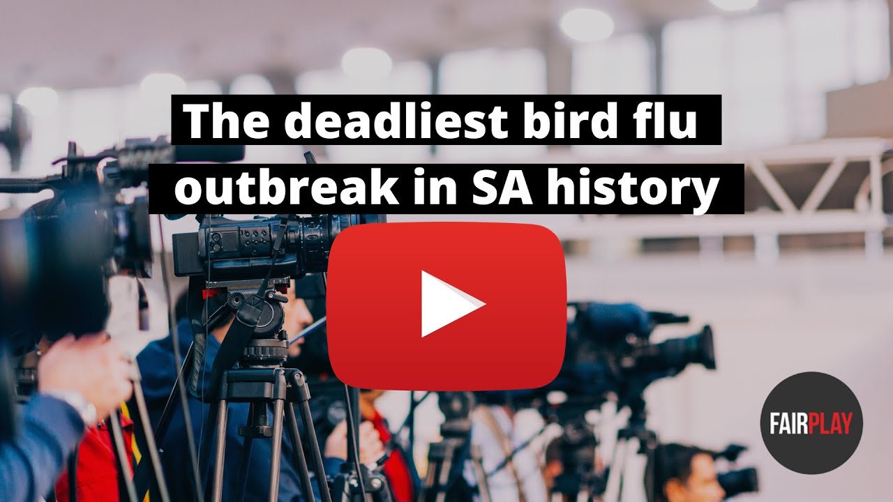 The deadliest bird flu outbreak in South African history. - YouTube