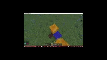 Infinite Carpet Duplication Glitch [Java 1.17 and 1.18] #shorts