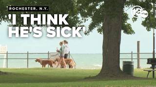 Trump’s ‘Lake America’ idea draws strong reaction from Lake Ontario beachgoers, local officials
