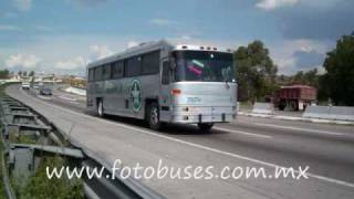 Autobuses Estrella Blanca