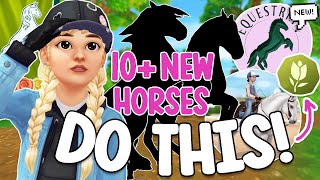5 *SECRET* EQUESTRIAN FESTIVAL THINGS TO PREPARE FOR!!