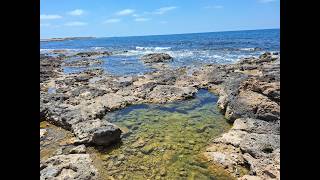 Mediterranean Sea Ambience 🌊 Waves, Coastal Rocks &amp; Marine Life Sounds | Relaxing Ocean Nature ASMR