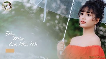 Chụp cúc họa mi ở đâu? chụp ảnh cúc họa mi giá rẻ. Báo giá chụp cúc họa mi. Chụp cúc họa mi mặc gì?