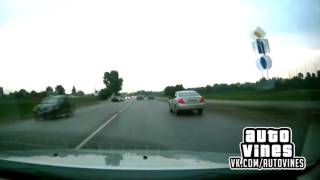 Auto Vines 154