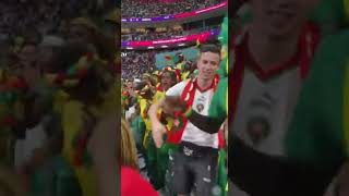 Qat England V Senegal 2 - 0 The Moroccan Fan Is Back With The Senegal Fans