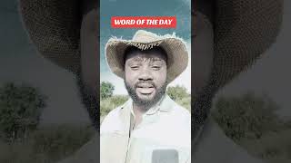 Se Sesa Feleng Sa Tlhola