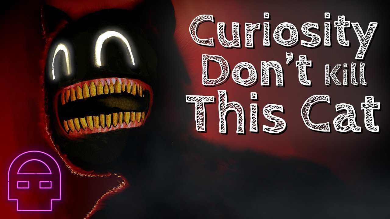 Cartoon Cat SONG - Curiosity Don't Kill This Cat ~ DHeusta - YouTube