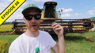 Harvest Tractor Breakdown in Brazil! | Rice Harvest 2019