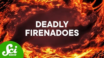 Wildfires Make Their Own Weather, Including...