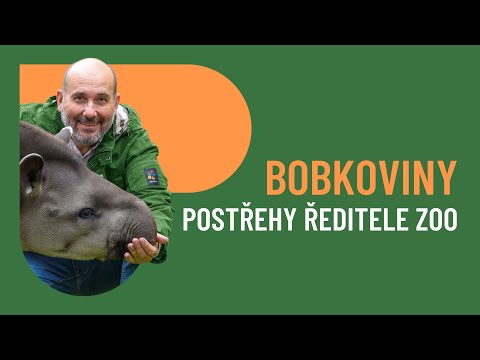 BOBKOVINY: O vombatech a vombatím chlapci